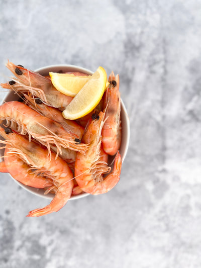 Your Guide to Storing Seafood