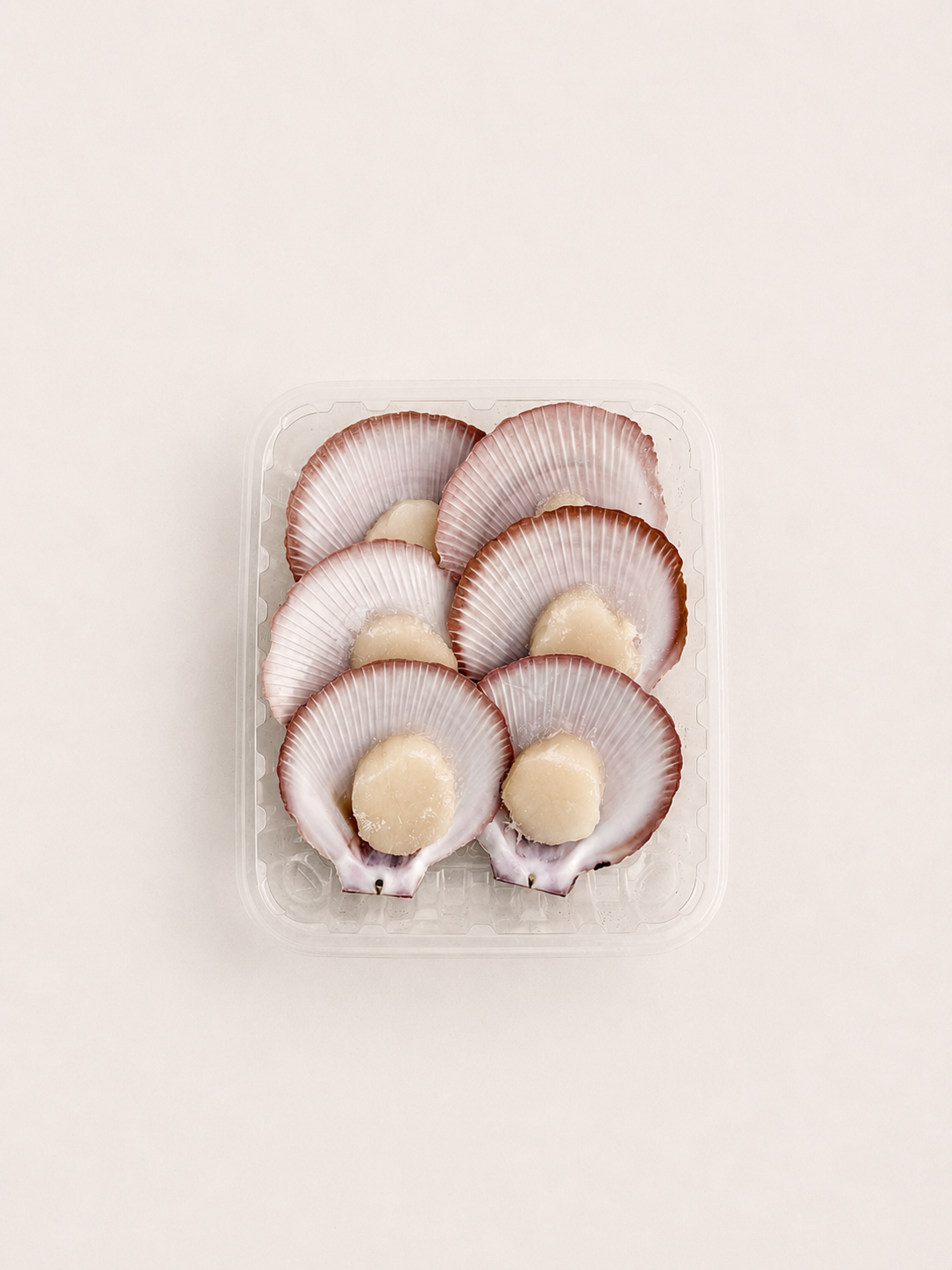 Half Shell Scallops – Dawson's Oyster Supplies