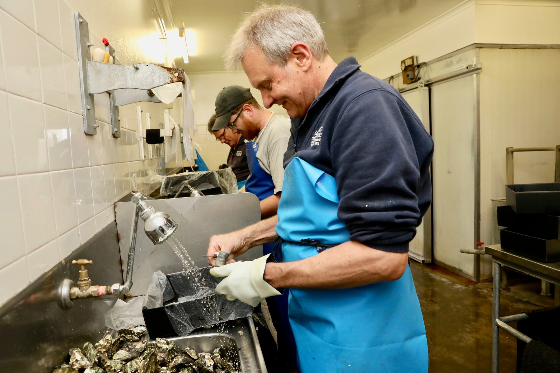 Brett Dawson, Lachlan Woods and Grant Dawson opening oysters at Dawson's Oyster Supplies 67 King St, Warners Bay NSW